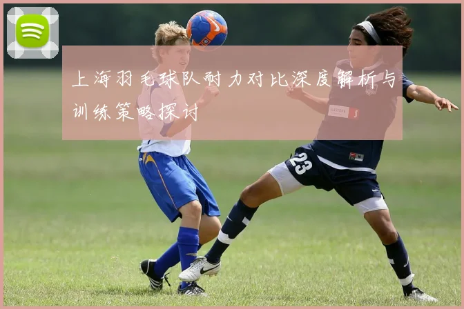 上海羽毛球队耐力对比深度解析与训练策略探讨