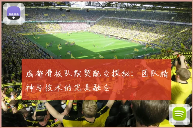 成都滑板队默契配合探秘：团队精神与技术的完美融合